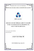 Khảo sát cấu trúc hình học, điện tử và độ bền cơ học của mof 901 dưới sự ảnh hưởng của phân tử hấp phụ methanol 