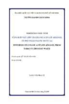 Synthesis cellulose acetate aerogel from tobacco industry waste