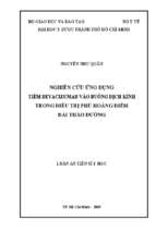 Luận án tiến sĩ nghiên cứu ứng dụng tiêm bevacizumab vào buồng dịch kính trong điều trị phù hoàng điểm