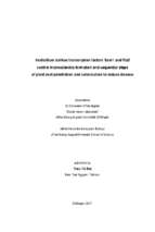 Verticillium dahliae transcription factors som1 and vta3 control microsclerotia formation and sequential steps of plant root penetration and colonisation to induce disease