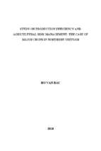 Study on production efficiency and agricultural risk management the case of major crops in northern vietnam