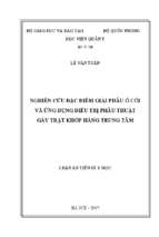 Luận án tiến sĩ nghiên cứu đặc điểm giải phẫu ổ cối và ứng dụng điều trị phẫu thuật gãy trật khớp háng trung tâm