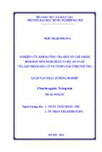 Nghiên cứu ảnh hưởng của một số chế phẩm sinh học đến năng suất và độ an toàn của sản phẩm đậu cô ve trồng tại tỉnh phú thọ