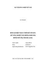 đánh giá hiện trạng và đề xuất sử dụng đất nông nghiệp theo hướng hàng hóa huyện việt yên, tỉnh bắc giang  