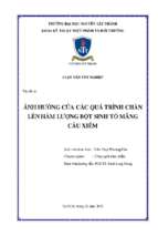 ảnh hưởng của các quá trình chần lên hàm lượng bột sinh tố mãng cầu xiêm