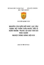 Nghiên cứu biến đổi mức lọc cầu thận, độ thẩm thấu nước tiểu ở bệnh nhân trước và sau tán sỏi niệu quản ngược dòng bằng nội soi