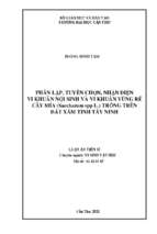 Phân lập, tuyển chọn, nhận diện vi khuẩn nội sinh và vi khuẩn vùng rễ cây mía (saccharum spp l.) trồng trên đất xám tỉnh tây ninh