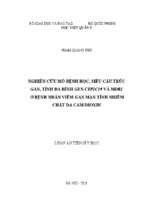 Nghiên cứu mô bệnh học, siêu cấu trúc gan, tính đa hình gen cyp2c19 và mdr1 ở bệnh nhân viêm gan mạn tính nhiễm chất da cam dioxin