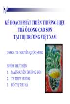 Kế hoạch phát triển thương hiệu trà ô long cao sơn tại thị trường việt nam