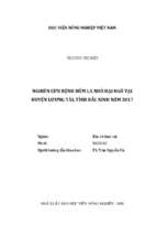 Nghiên cứu bệnh đốm lá nhỏ hại ngô tại huyện lương tài, tỉnh bắc ninh năm 2017  