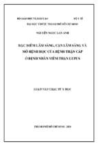 đặc điểm lâm sàng, cận lâm sàng và mô bệnh học của bệnh thận cấp ở bệnh nhân viêm thận lupus