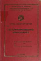 Phát triển hệ thống nhượng quyền thương mại của phở 24.