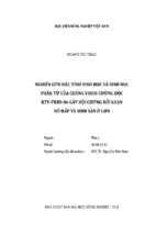 Nghiên cứu đặc tính sinh học và sinh học phân tử của chủng virus cường độc kty   prrs   06 gây hội chứng rối loạn hô hấp và sinh sản ở lợn  