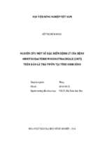Nghiên cứu một số đặc điểm bệnh lý của bệnh ornithobacterium rhinotracheale (ort) trên đàn gà thả vườn tại tỉnh ninh bình  