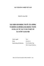 Xác định gen kháng thuốc của chủng vi khuẩn salmonella đa kháng thuốc phân lập từ thịt tươi ở một số địa điểm tại hà nội  