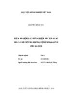 Kiểm nghiệm và thử nghiệm vắc xin avac nd clone entero phòng bệnh newcastle cho gà con  