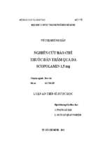 Nghiên cứu bào chế thuốc dán thấm qua da scopolamin 1 5 mg
