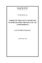 Nghiên cứu phân lập và chuyển gen nac2 liên quan đến chịu hạn ở cây lạc arachis hypogaea l