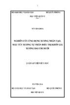 Nghiên cứu ứng dụng xương nhân tạo máu tủy xương tự thân điều trị khớp giả xương dài chi dưới