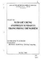 Nuôi giữ chủng anopheles sundaicus trong phòng thí nghiệm