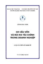 Cơ cấu vốn và rủi ro tài chính trong doanh nghiệp