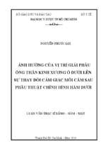 ảnh hưởng của vị trí giải phẫu ống thần kinh xương ổ dưới lên sự thay đổi cảm giác môi cằm sau phẫu thuật chỉnh hình hàm dưới