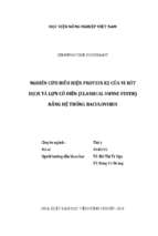 Nghiên cứu biểu hiện protein e2 của virus dịch tả lợn cổ điển (classical swine fever) bằng hệ thống baculovirus  