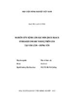 Nghiên cứu bệnh lùn sọc đen (rice black streaked dwarf virus) trên lúa tại văn lâm hưng yên  