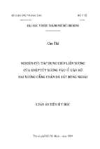 Nghiên cứu tác dụng giúp liền xương  của ghép tủy xương vào ổ gãy hở  hai xương cẳng chân đã bất động ngoài .