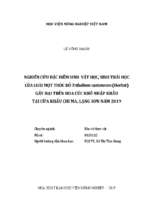 Nghiên cứu đặc điểm sinh vật học, sinh thái học của loài mọt thóc đỏ tribolium castaneum (herbst) gây hại trên hoa cúc khô nhập khẩu tại cửa khẩu chi ma, lạng sơn năm 2019  