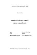 Nghiên cứu chế phẩm sinh học cải tạo đất nhiễm mặn  