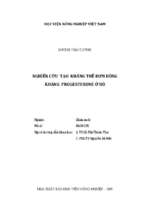 Nghiên cứu tạo kháng thể đơn dòng kháng progesterone ở bò  