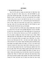 đa dạng hoá chủ sở hữu doanh nghiệp nhà nước kinh doanh cao su thiên nhiên