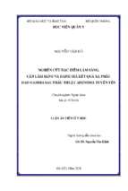 Luận án tiến sĩ nghiên cứu đặc điểm lâm sàng, cận lâm sàng và đánh giá kết quả xạ phẫu dao gamma sau phẫu thuật