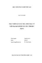 Phát triển sản xuất dưa chuột bao tử trên địa bàn huyện tân yên, tỉnh bắc giang  