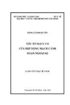 Yếu tố nguy cơ của hẹp động mạch cảnh đoạn ngoài sọ