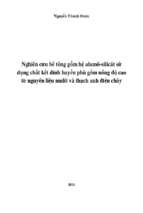 Nghiên cứu bê tông gốm hệ alumô silicát sử dụng chất kết dính huyền phù gồm nồng độ cao từ nguyên liệu mulít và thạch anh điện chảy