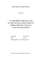 đặc điểm sinh học, sinh thái loài sâu đục thân ngô châu á ostrinia furnacalis guenee (lepidoptera pyralidae) tại gia lâm, hà nội năm 2017  