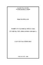 Nghiên cứu tái sinh đa chồi in vitro cây diệp hạ châu phyllanthus urinaria l