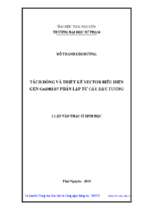 Tách dòng và thiết kế vector biểu hiện gen gmdreb7 phân lập từ cây đậu tương