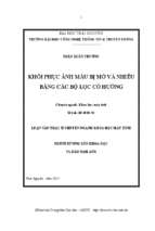 Khôi phục ảnh màu bị mờ và nhiễu bằng các bộ lọc có hướng