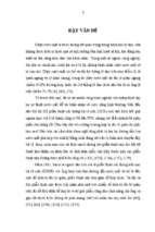 Nghiên cứu sử dụng sụn kết mạc tự thân trong phẫu thuật nối thông kết mạc túi lệ mũi