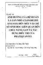 Nghiên cứu ảnh hưởng của bệnh sán lá gan nhỏ clonorchis sinensis đến một vài chỉ số sinh học liên quan đến chức năng gan và tác dụng điều trị của praziquantel