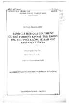 đánh giá hiệu quả của thuốc ức chế tyrosine kinase tki trong ung thư phổi không tế bào nhỏ gia đoạn tiến xa