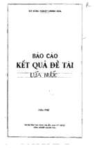 Khảo sát và so sánh tập đoàn giống lúa mới ở khánh hòa