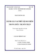 đánh giá vai trò nội soi mềm trong điều trị sỏi thận