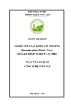 Nghiên cứu nhân giống cây sói rừng sarcandra glabra thunb nakai bằng kỹ thuật nuôi cấy in vitro