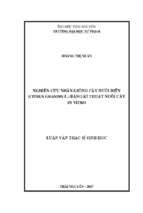 Nghiên cứu nhân giống cây bưởi diễn citrus grandis l bằng kỹ thuật nuôi cấu in vitro