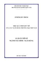 Luận án hiệu quả theo quy mô của các ngân hàng thương mại việt nam. (bank performance according to their size in viet nam)