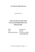 Nâng cao năng lực cạnh tranh của các doanh nghiệp nhỏ và vừa tỉnh hải dương  luận án tiến sĩ. kinh tế phát triển 9.31.01.05
